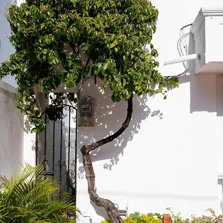 Casa Palmar Cartagena-3