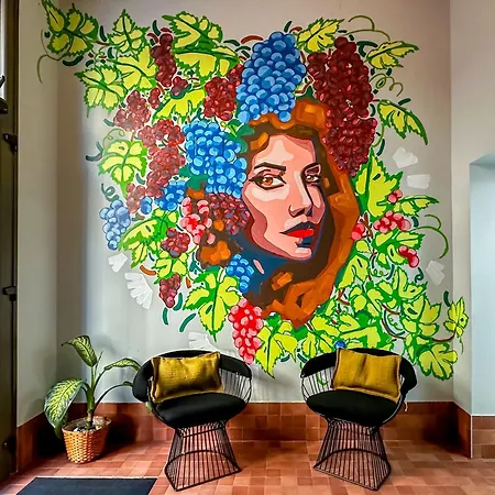 Coeo Suites Parras-2
