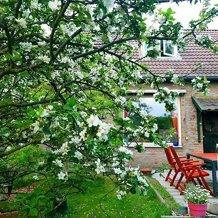 Huisjeaandedinkel-2