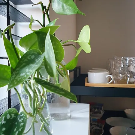 Bed&Breakfast 'Wij en de Zande' - kamer met vide-3