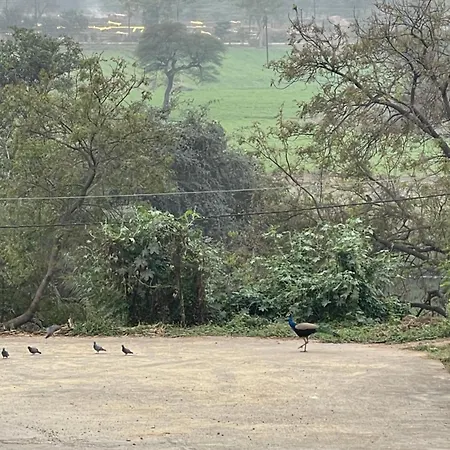 Tekri Farms And Retreat-2