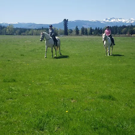 Paradise Acres Ranch-2