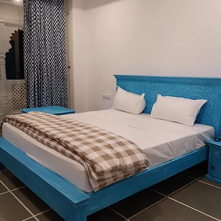 Hotel Mewari Villa Pure Veg-2