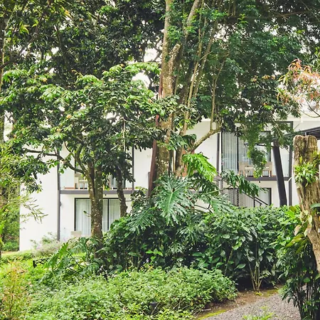 Ocotea Boutique Hotel-2
