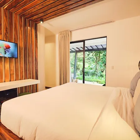 Ocotea Boutique Hotel-3