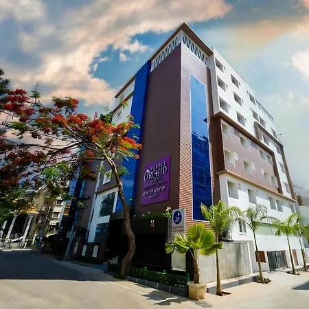 Zip By Spree Hotels Purple Orchid Whitefield-3