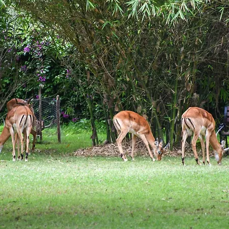 Lukenya Getaway-2