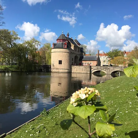 B&B Royal Swans - Adults-Only Boutique Stay In Bruges-3