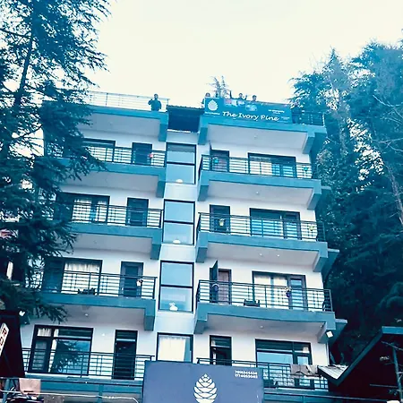 The Ivory Pine-2