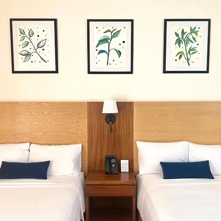 Hotel Plaza Rioverde-2