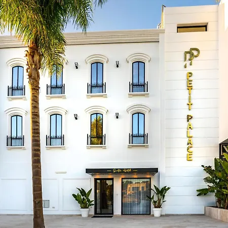 Petit Palace Suites Hotel-3