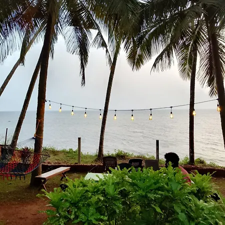 Perch By The Sea-2