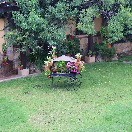 Nuestras Raíces Hotel - Museo - Restaurante-2