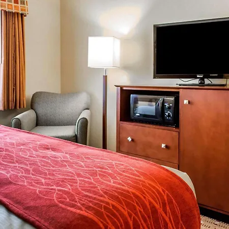Comfort Inn & Suites Franklin East-3