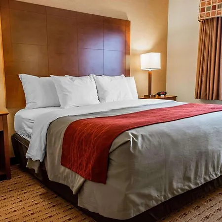 Comfort Inn & Suites Franklin East-2