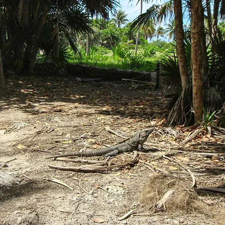 Adora Tulum 406 At Av Kukulkan-3