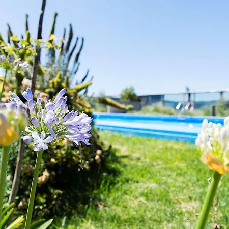 Park Inn By Radisson Los Olivos De Vallenar-3