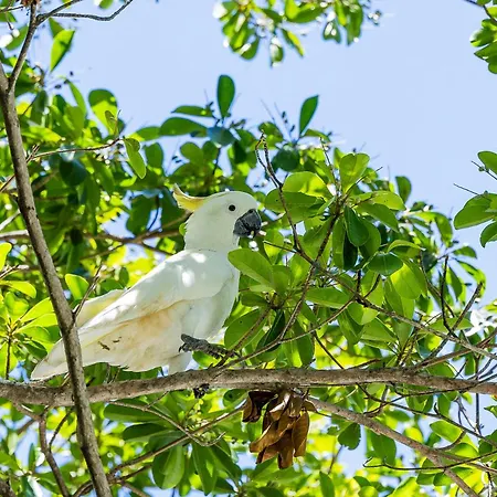 Kipara Tropical Rainforest Retreat-3