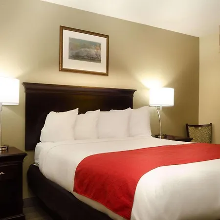 Country Inn & Suites By Radisson, Tuscaloosa, Al-2