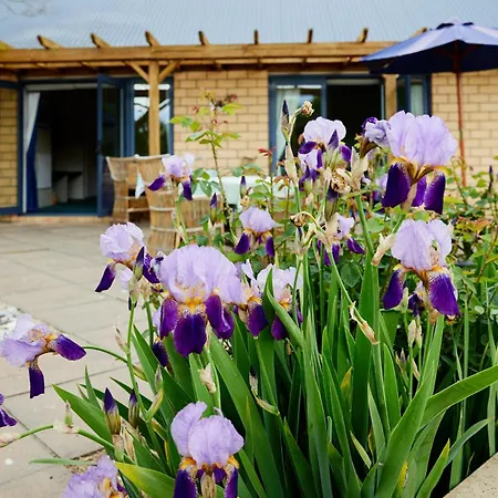 Awatea Country Bed & Breakfast-2