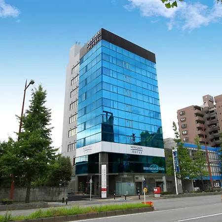 Hotel New Gaea Domemae-2