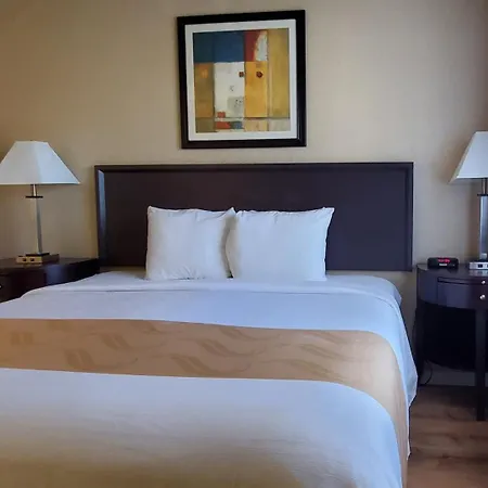 Quality Inn & Suites Anaheim At The Park-3