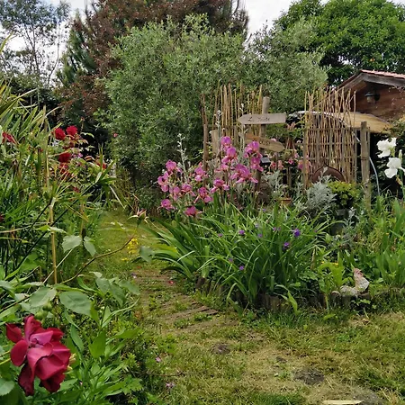Le chalet du Jardin caché-2
