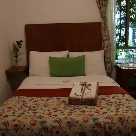 Chalet del Carmen, Coyoacán-3