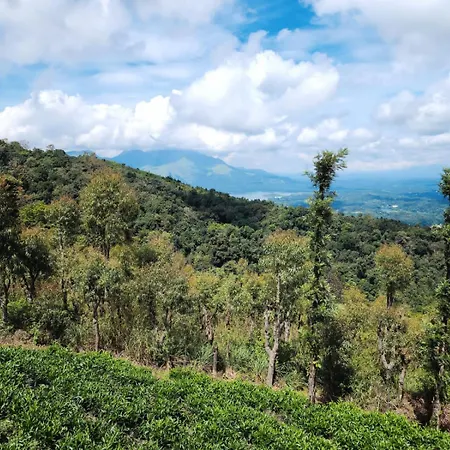 Vythiri Tea Valley I Best Hotel In Wayanad L Hotels In Vythiri Wayanad-3