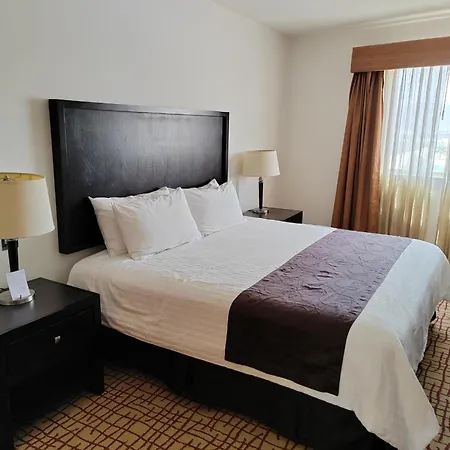Wyndham Garden Torreon Tecnologico-3