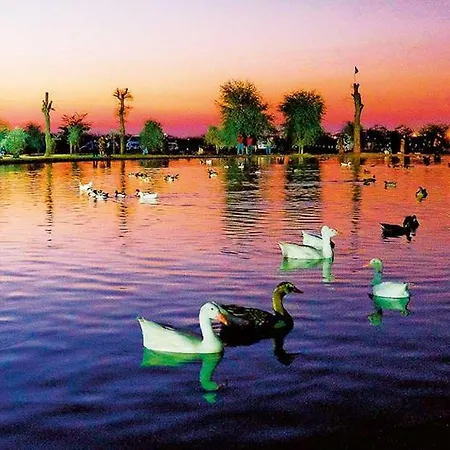 Al Qudra Lakes Camping By Hyba-3