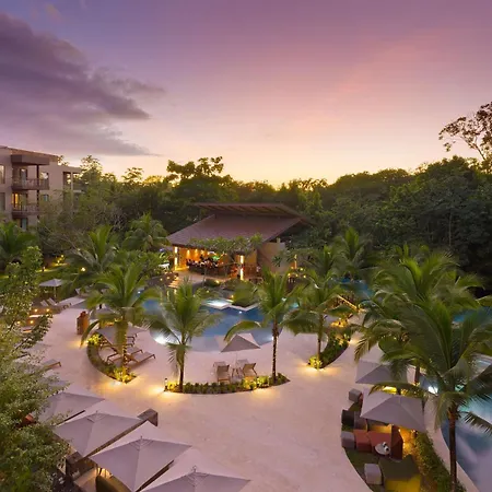 Botanika Osa Peninsula, Curio Collection By Hilton-3