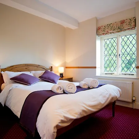 Rose Of York-2