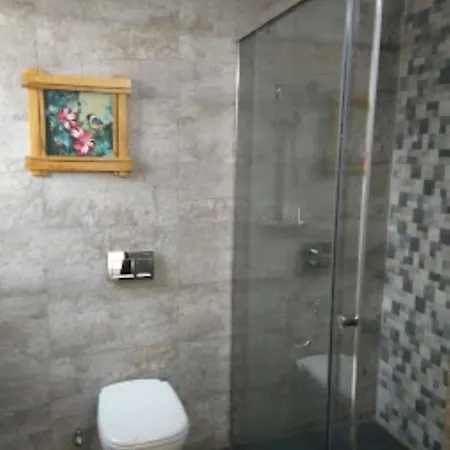 Hotel Vasundhara Grand , Ghaziabad-3
