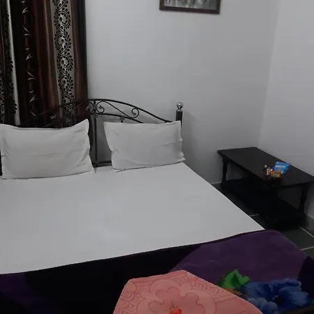 Gaj Niwas Hotel And Restaurant,Udaipur,Rajasthan-2
