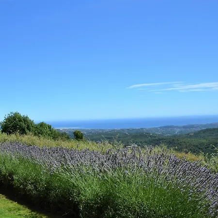 La Bastide des Pins-2