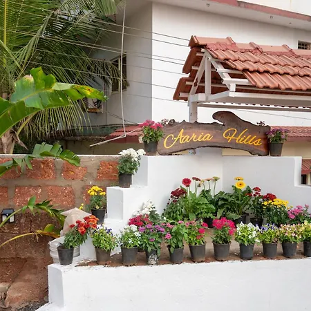 Aaria Hills-3