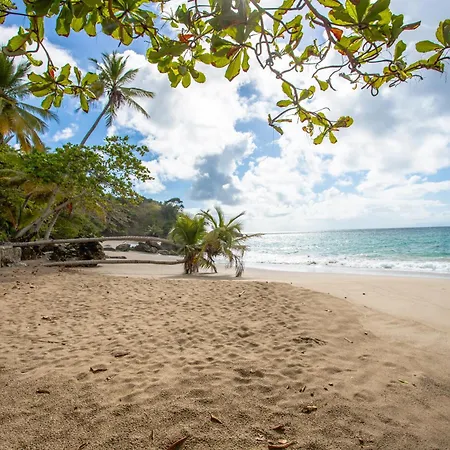 Xeliter Vista Mare, Samana-3