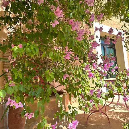 La Villa Des Golfs & Pinkcactus-2