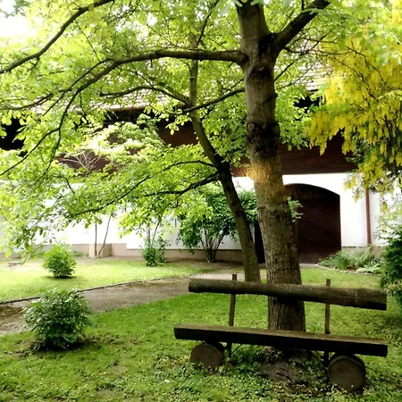 Hotel Grünes Türl-3