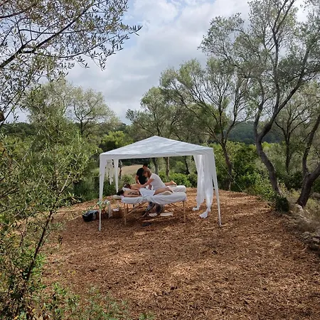 Fincahotel Treurer - Olive Grove & Grand House - Adults Only-2