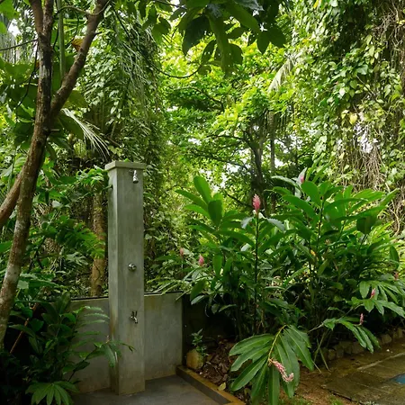 Ceylon Olive Galle-3