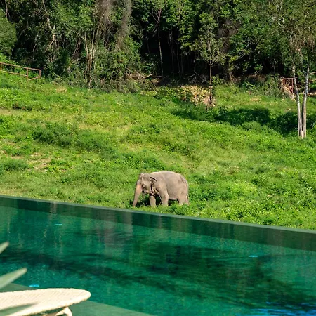 Wild Cottages Elephant Sanctuary Resort-3