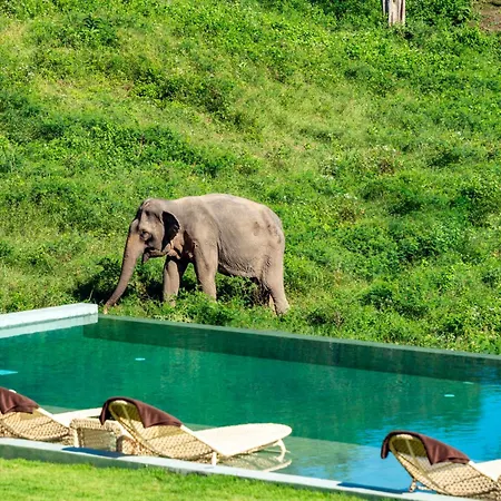 Wild Cottages Elephant Sanctuary Resort-2