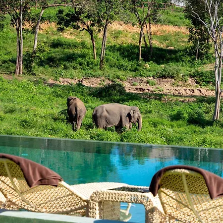 Wild Cottages Elephant Sanctuary Resort-3