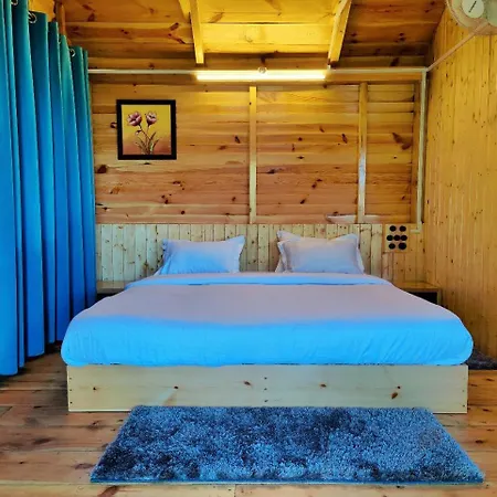Mid Conifer Resort And Cottages-2