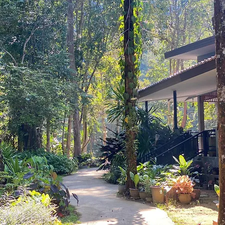 Khao Sok Nature Resort-3