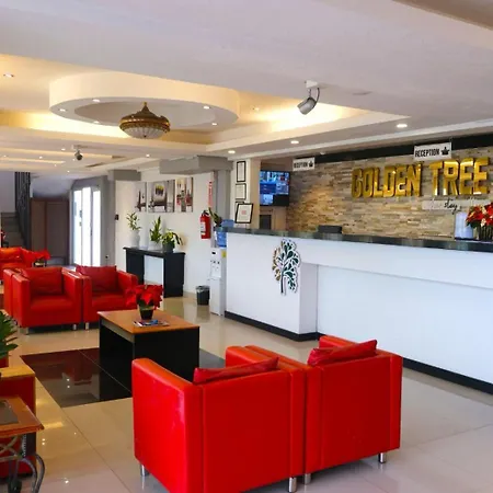 Golden Tree Hotel Belize-2