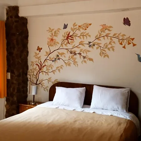 Casa Inka B&B-2