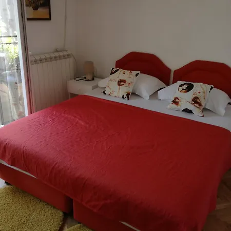 Guest House Vila Bak-3